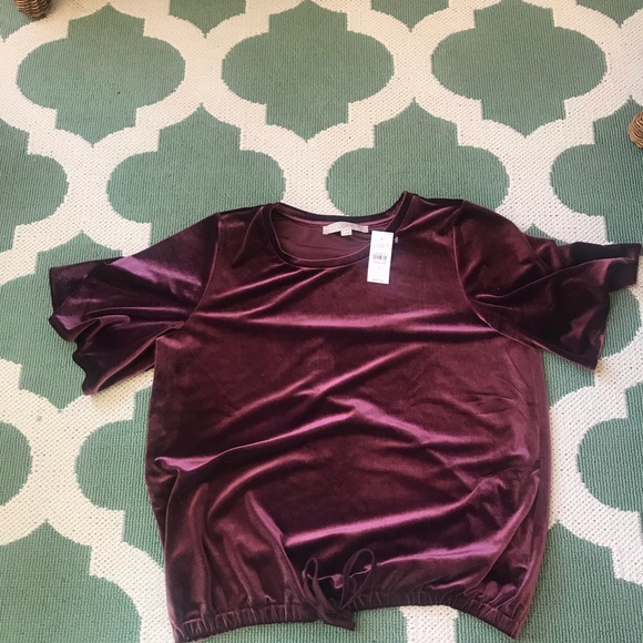 Loft velvet draw string NWT med Great for holidays - Picture 1 of 4